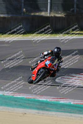 media/Mar-17-2024-Fastrack Riders (Sun) [[c7d6f8c14c]]/Level 2/Turn 6/